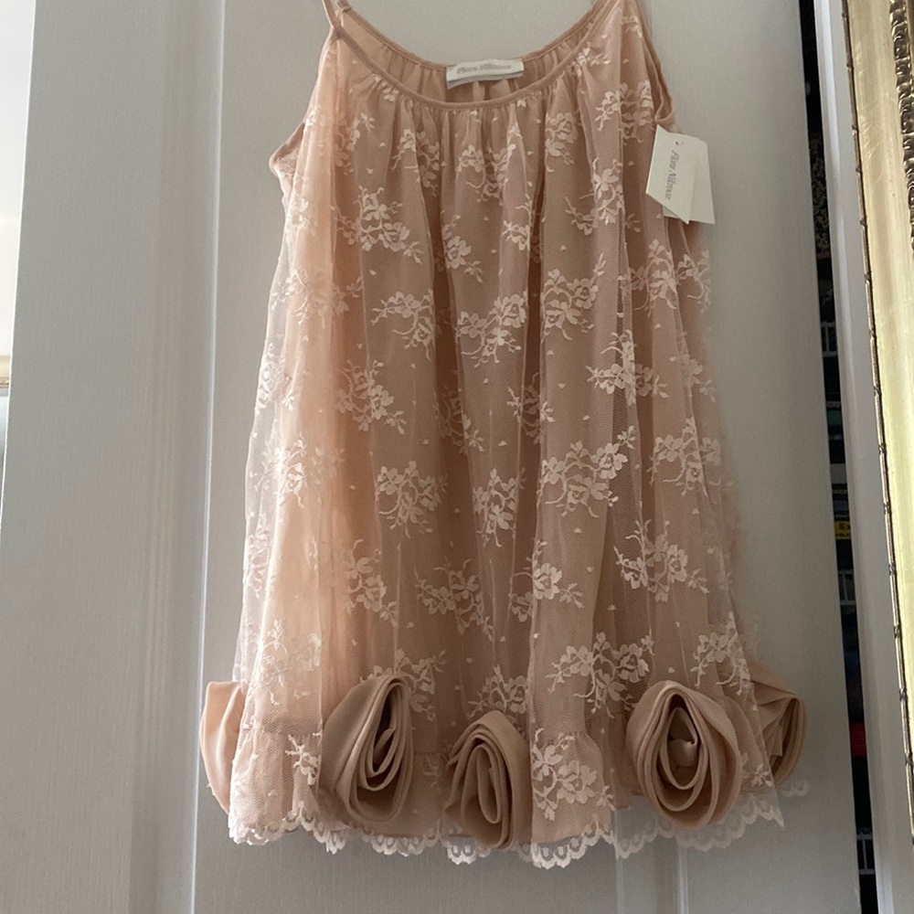 Flora Nikrooz baby doll lingerie dress